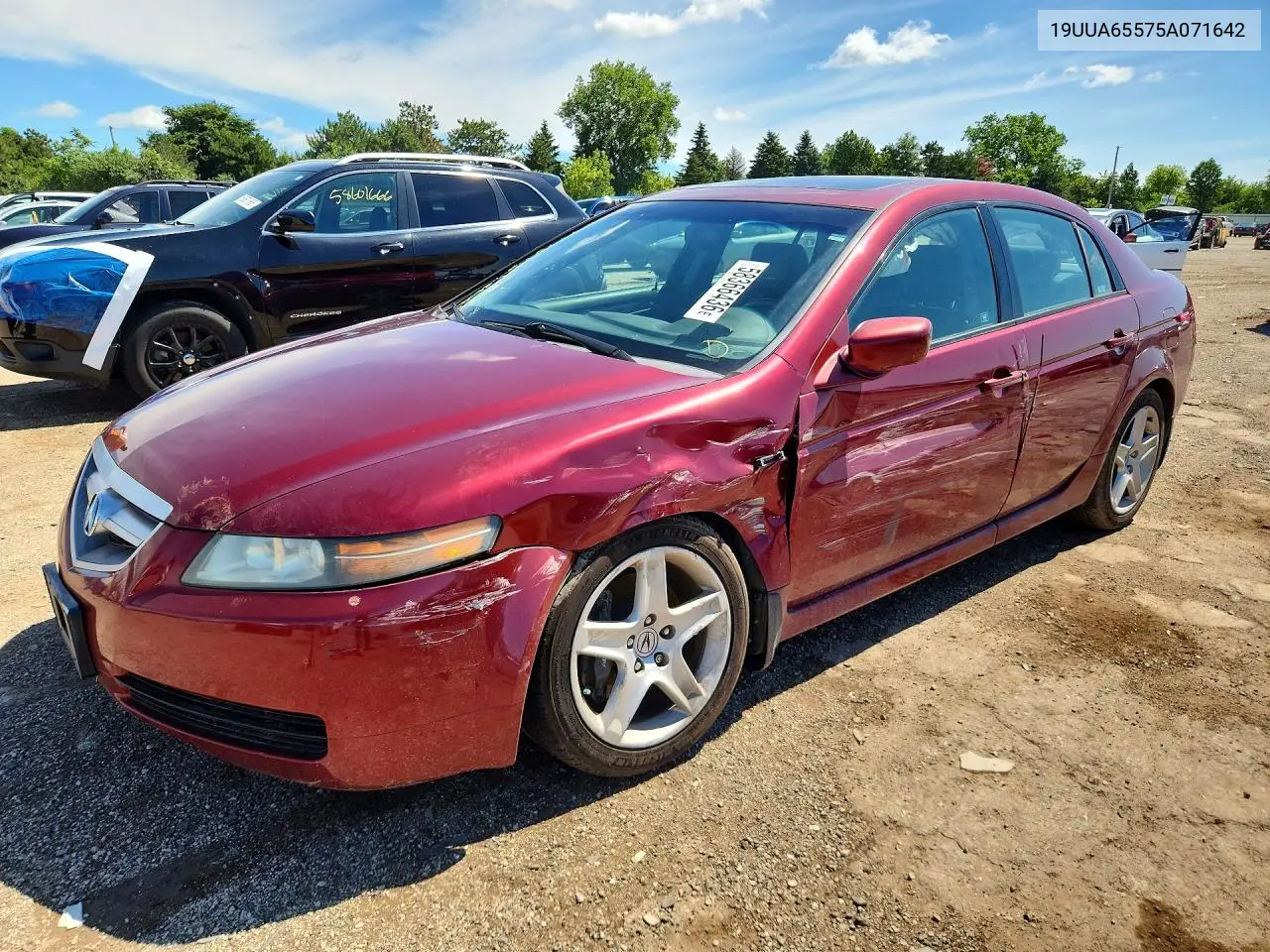 2005 Acura Tl VIN: 19UUA65575A071642 Lot: 58366436