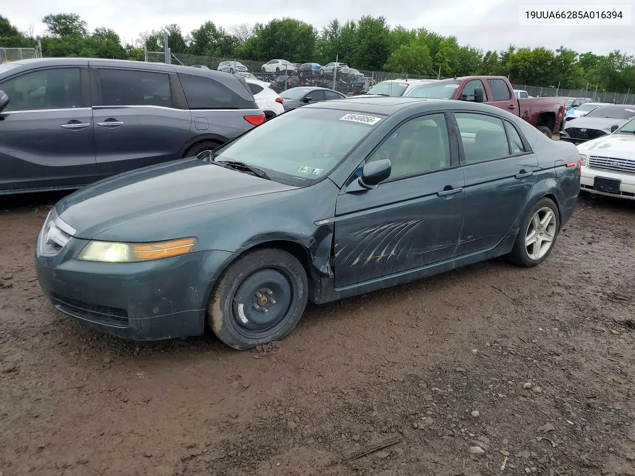 2005 Acura Tl VIN: 19UUA66285A016394 Lot: 59640056