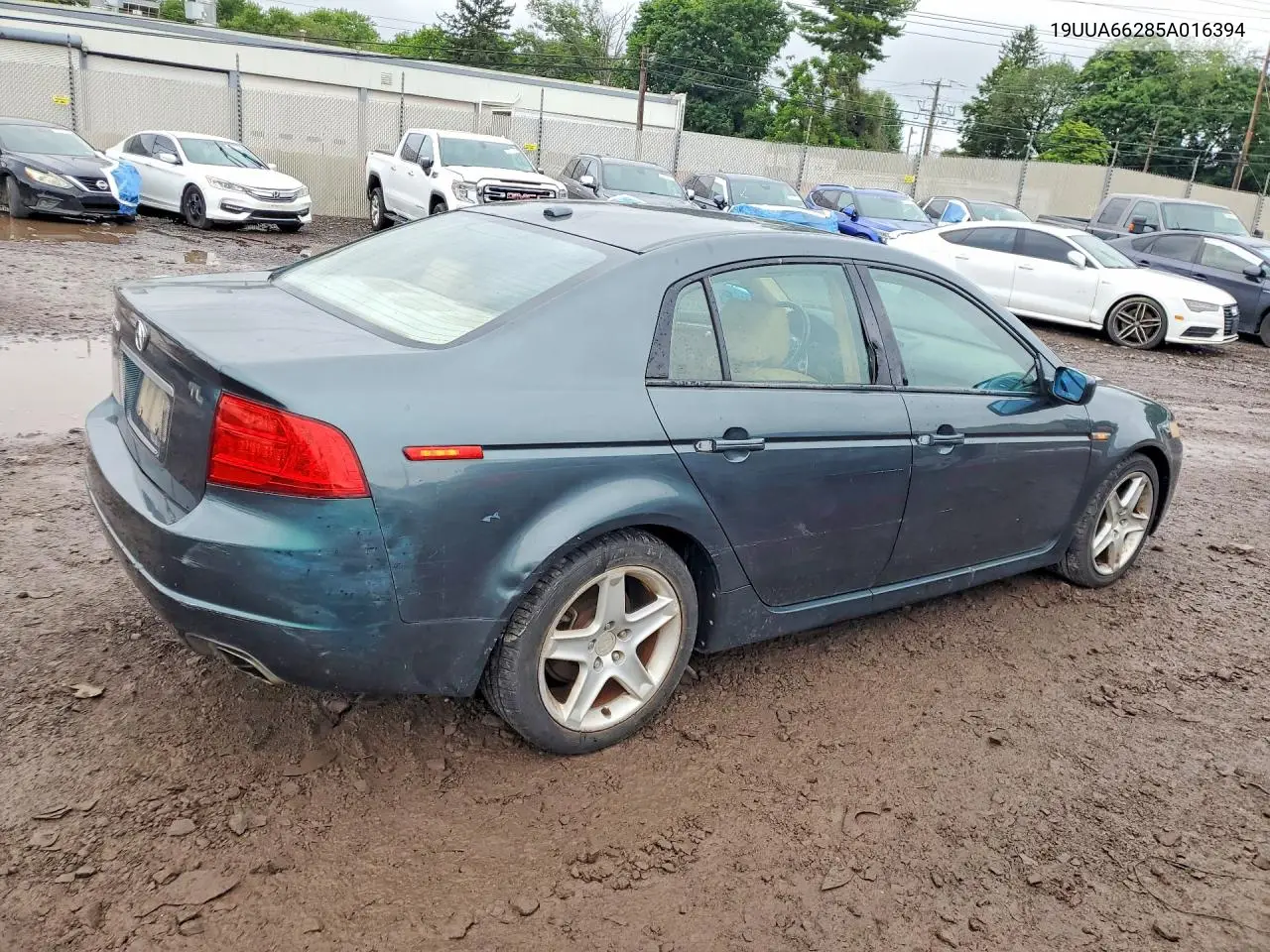 2005 Acura Tl VIN: 19UUA66285A016394 Lot: 59640056