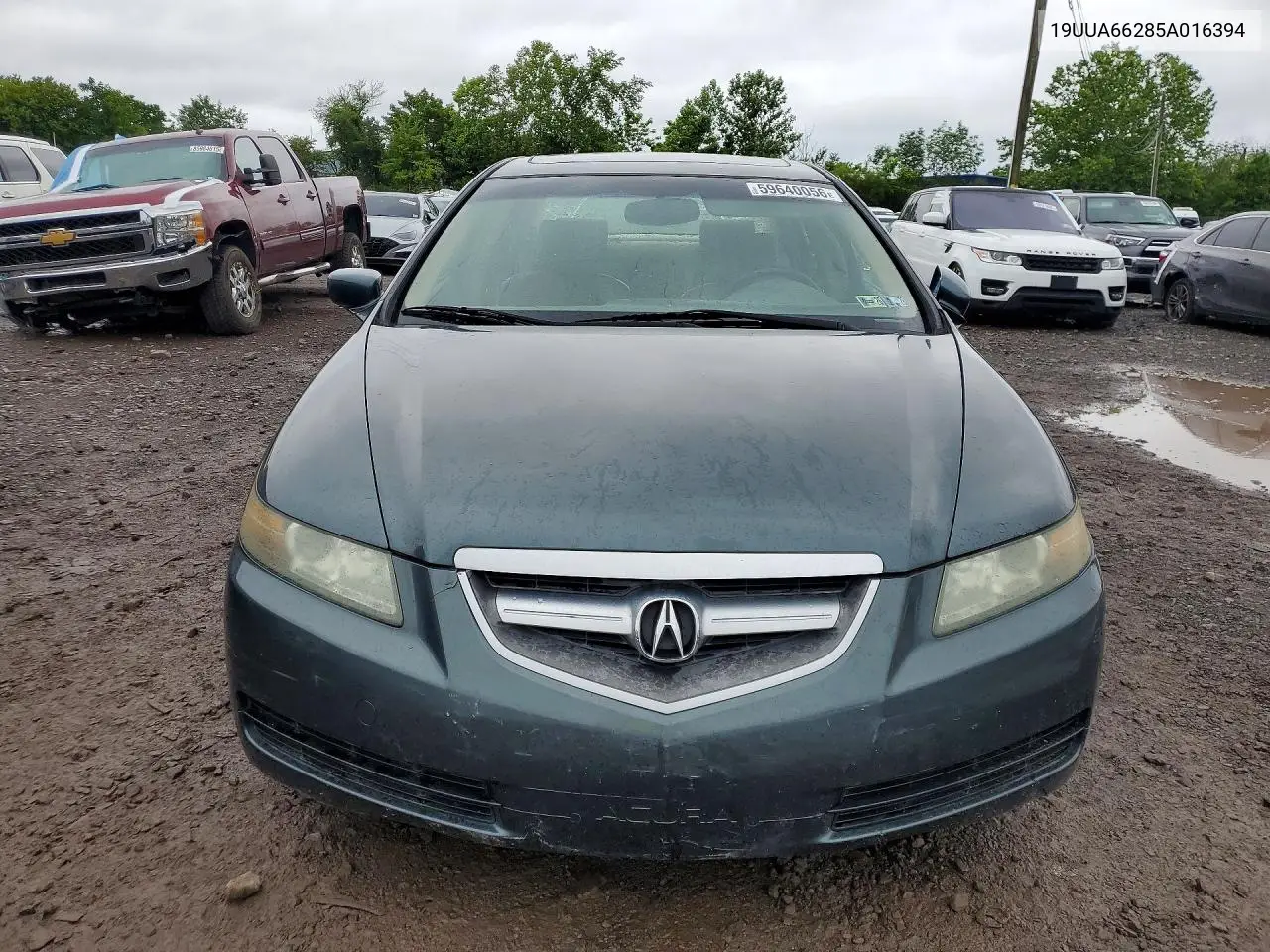 2005 Acura Tl VIN: 19UUA66285A016394 Lot: 59640056