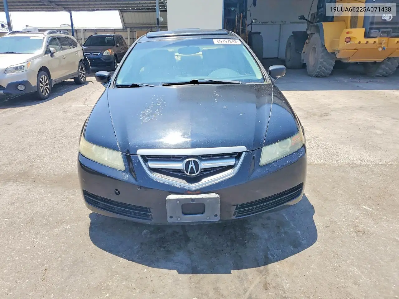 2005 Acura Tl VIN: 19UUA66225A071438 Lot: 60167246