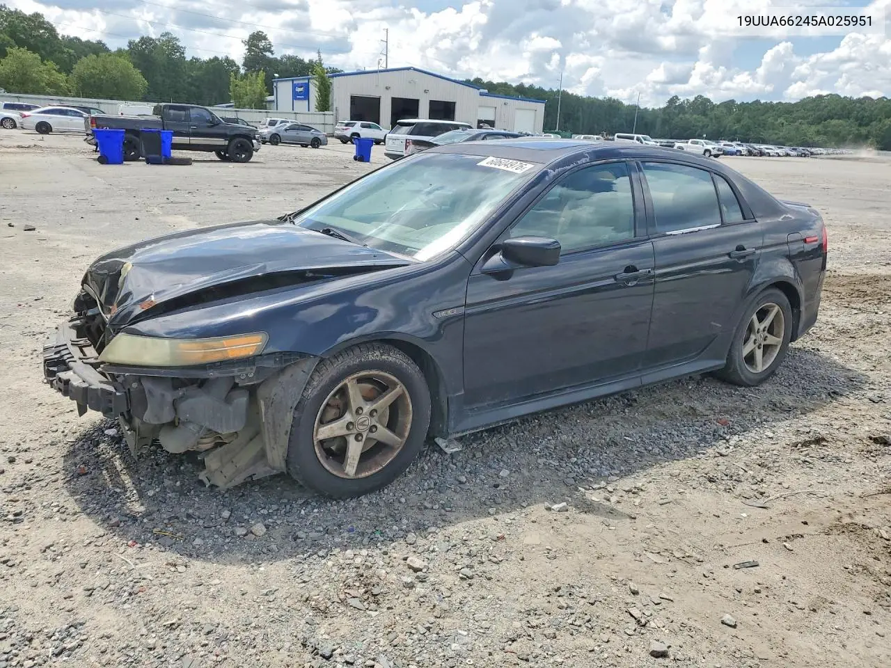 2005 Acura Tl VIN: 19UUA66245A025951 Lot: 60604976