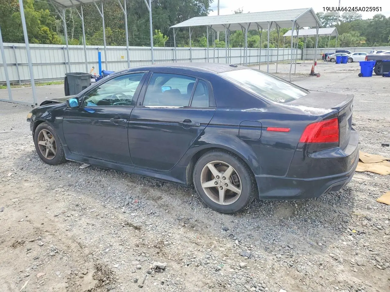 2005 Acura Tl VIN: 19UUA66245A025951 Lot: 60604976