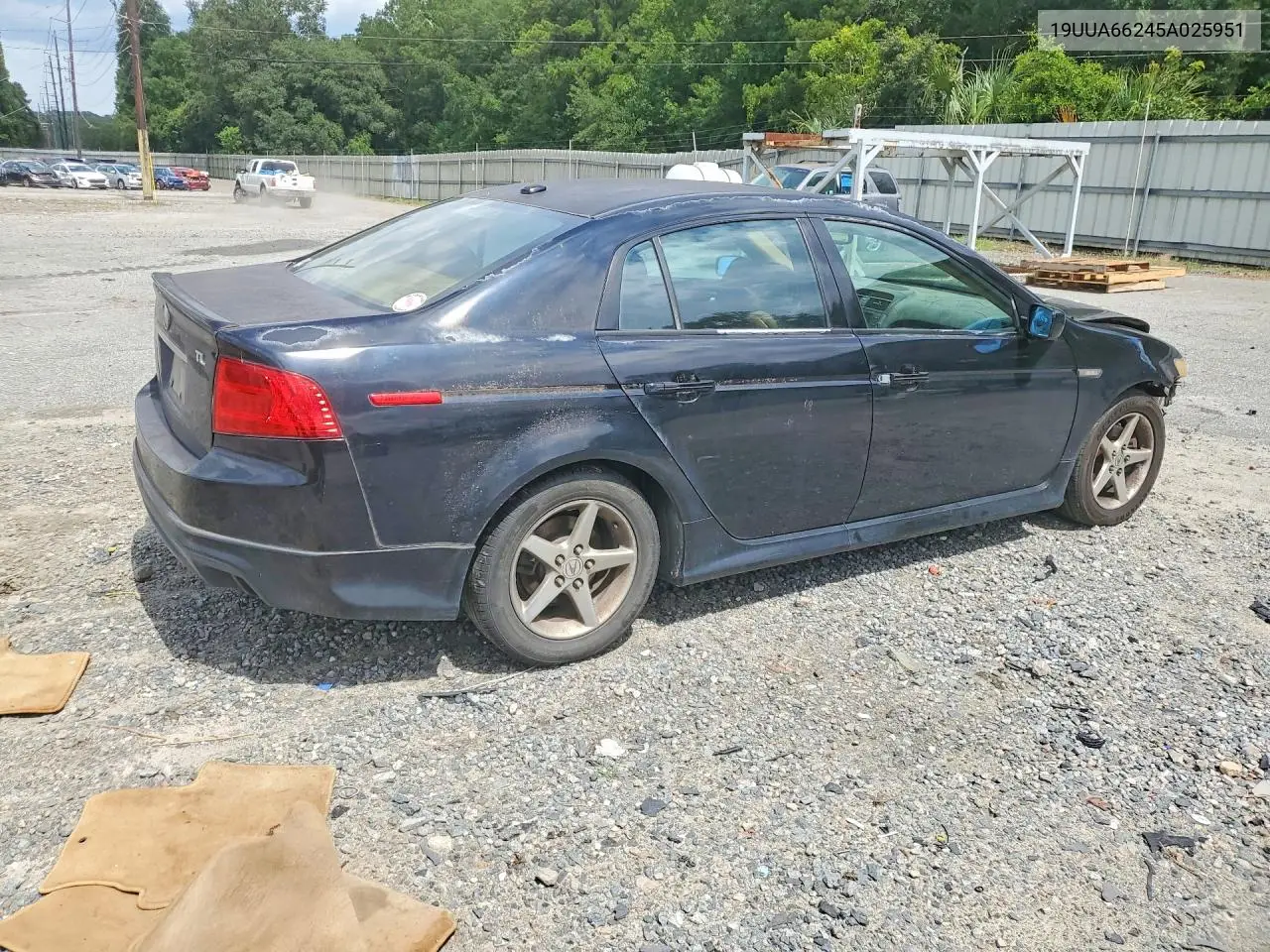 2005 Acura Tl VIN: 19UUA66245A025951 Lot: 60604976