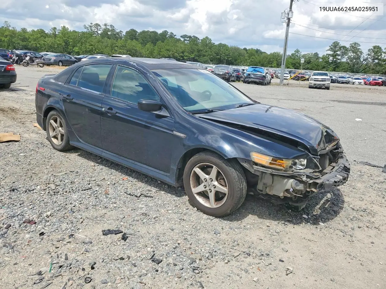 2005 Acura Tl VIN: 19UUA66245A025951 Lot: 60604976