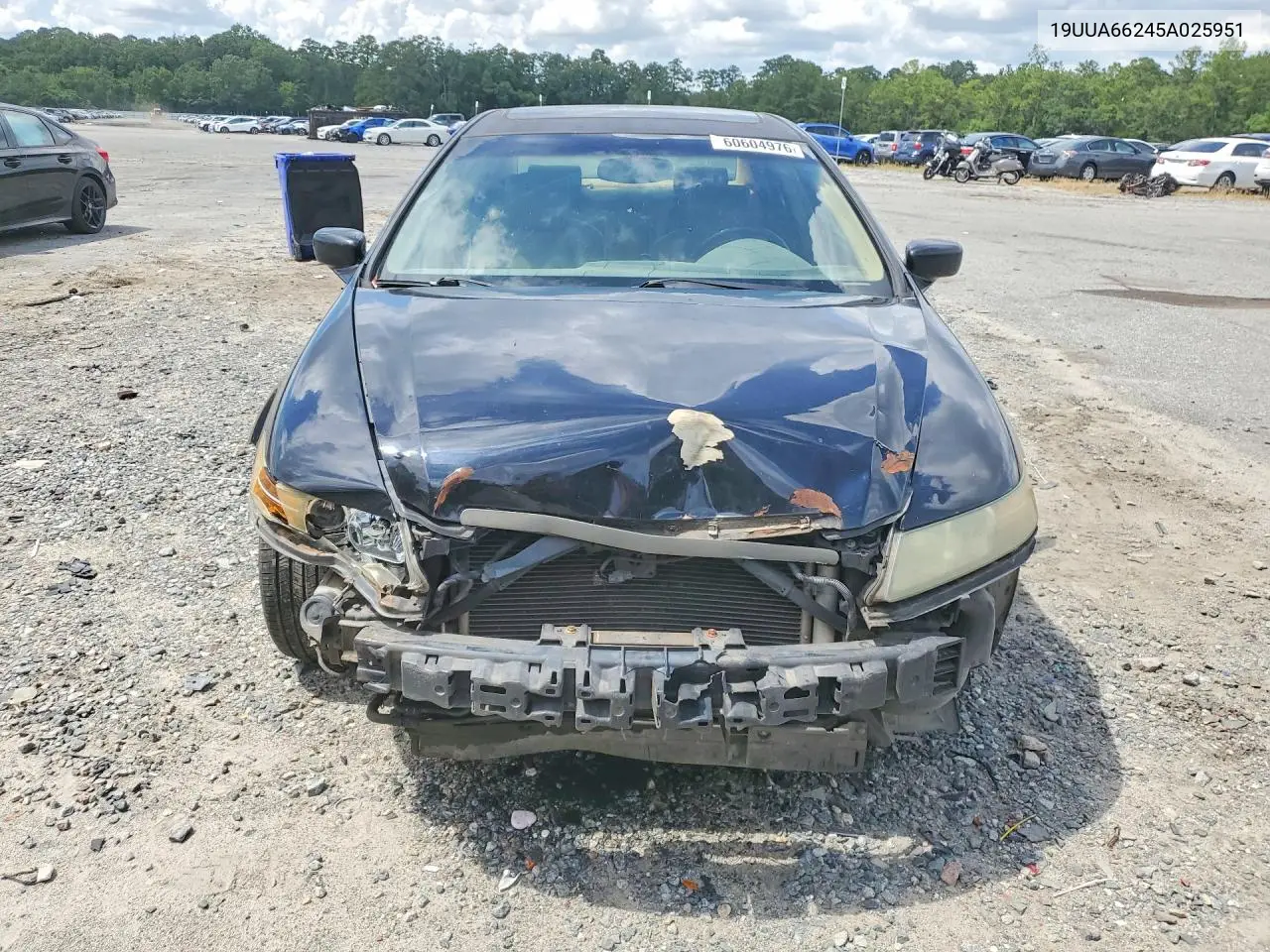 2005 Acura Tl VIN: 19UUA66245A025951 Lot: 60604976