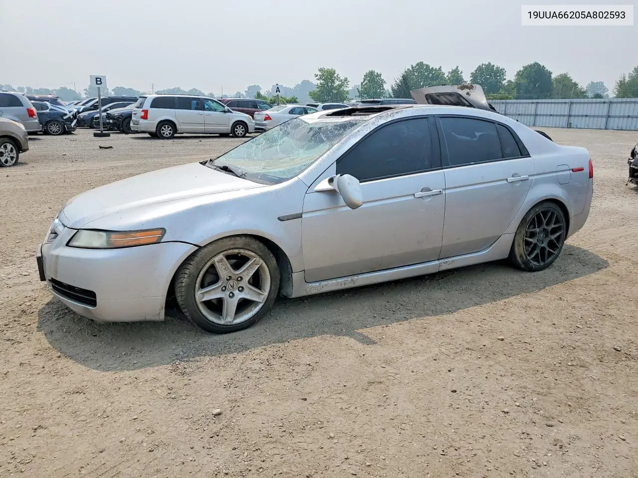 2005 Acura Tl VIN: 19UUA66205A802593 Lot: 60978956