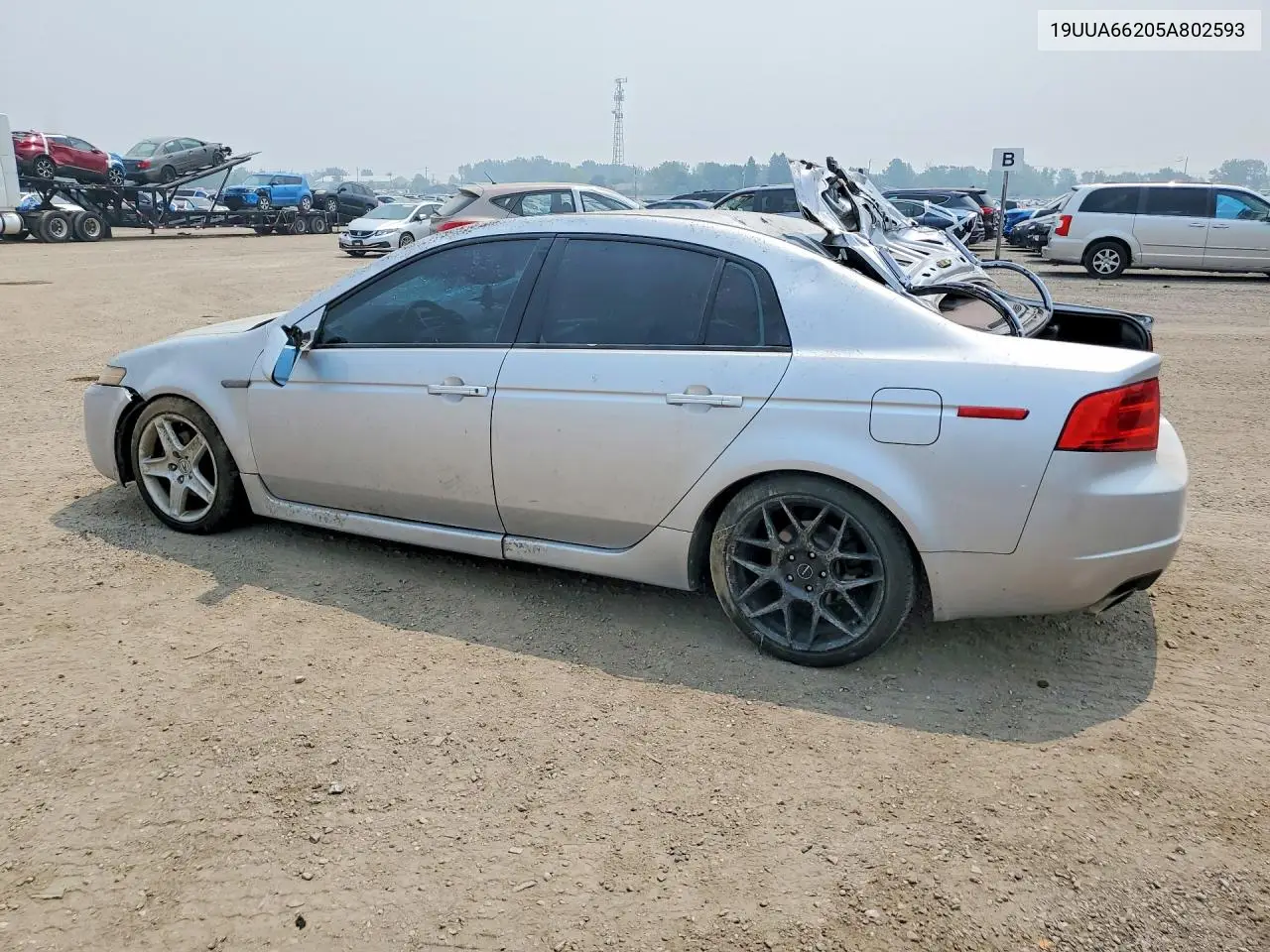 2005 Acura Tl VIN: 19UUA66205A802593 Lot: 60978956