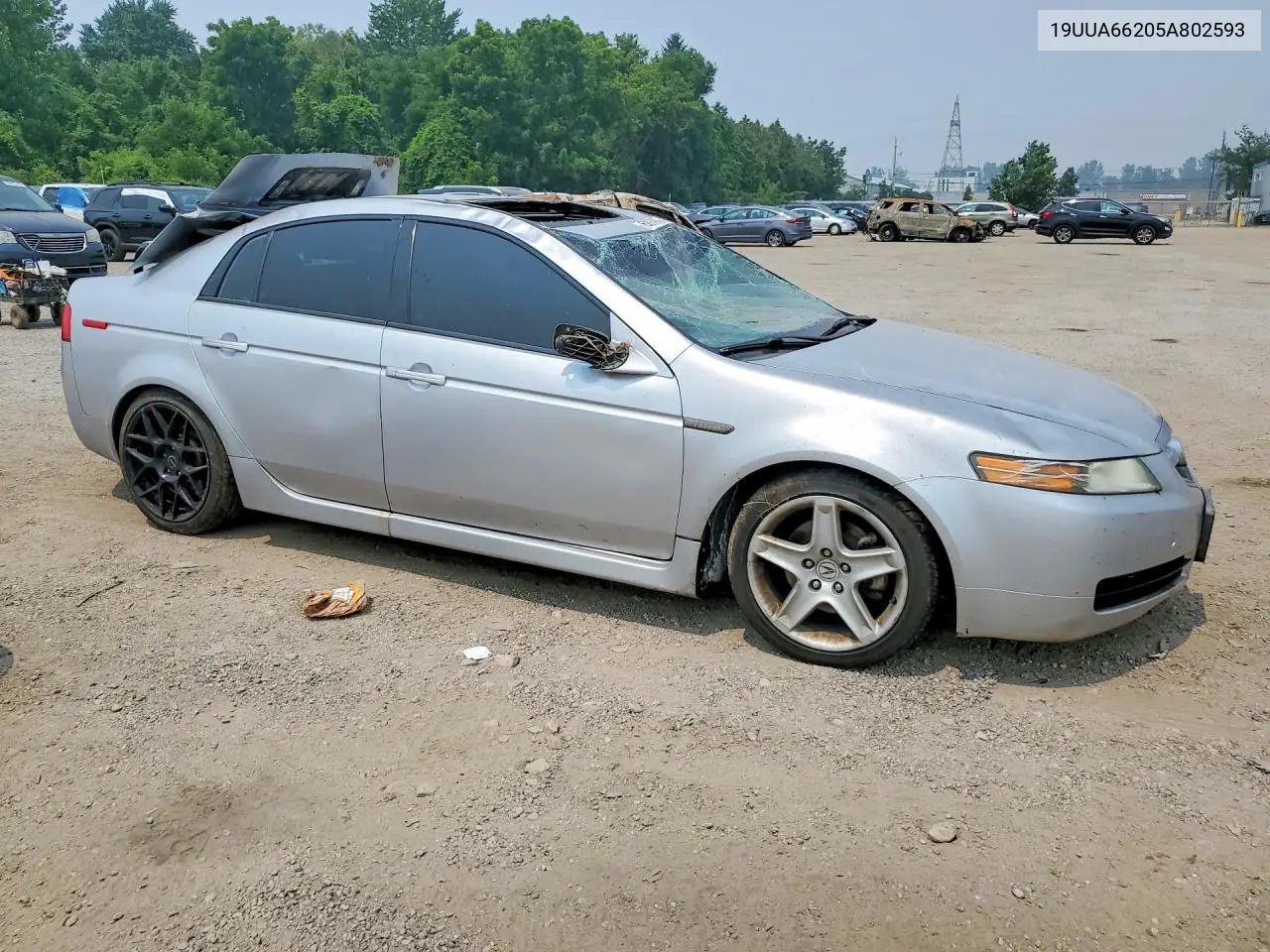 2005 Acura Tl VIN: 19UUA66205A802593 Lot: 60978956