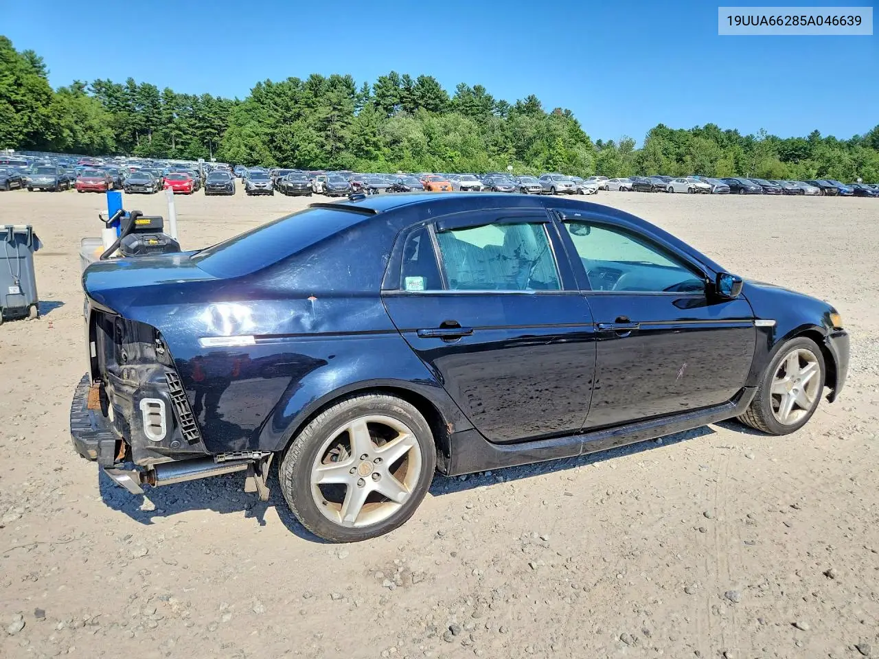 2005 Acura Tl VIN: 19UUA66285A046639 Lot: 61776326