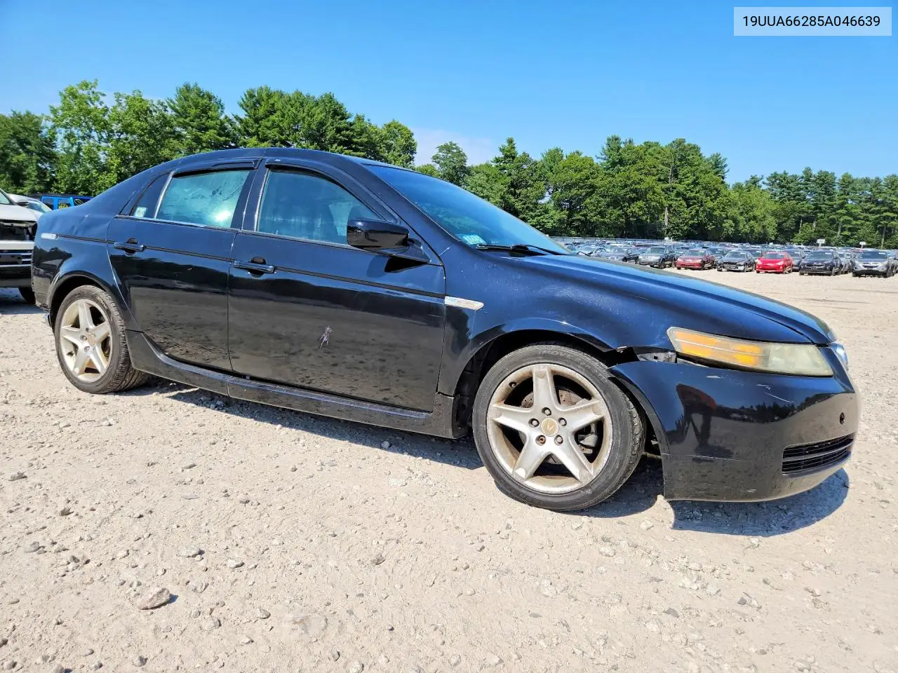 2005 Acura Tl VIN: 19UUA66285A046639 Lot: 61776326
