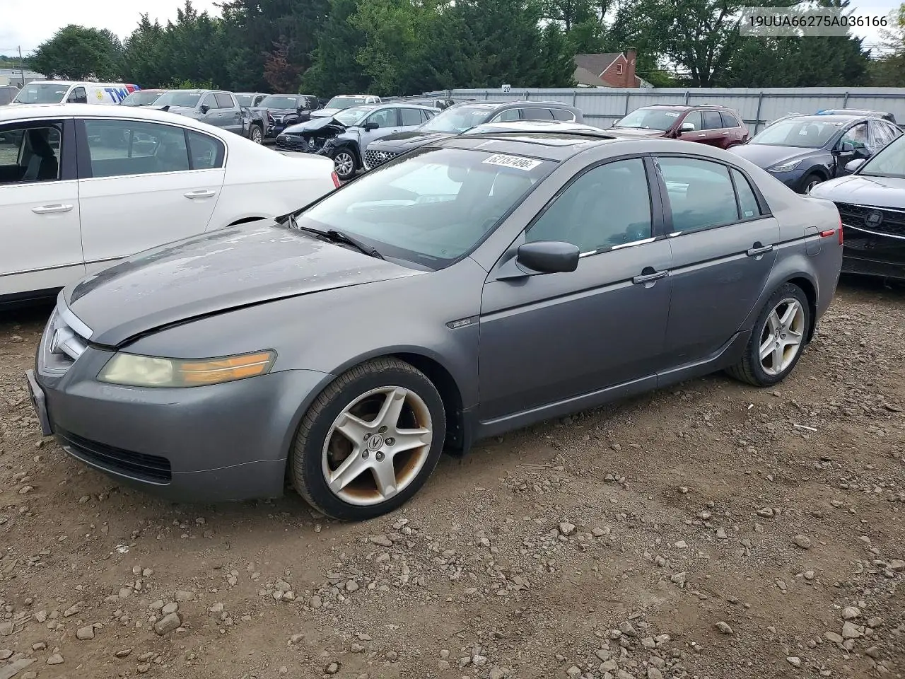 2005 Acura Tl VIN: 19UUA66275A036166 Lot: 62157496