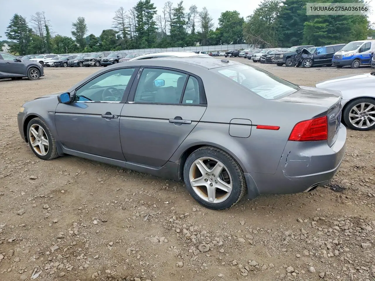 2005 Acura Tl VIN: 19UUA66275A036166 Lot: 62157496