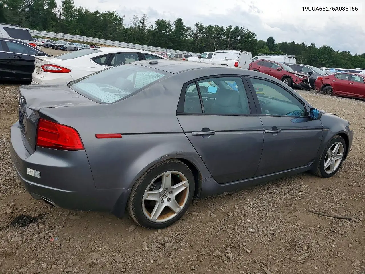 2005 Acura Tl VIN: 19UUA66275A036166 Lot: 62157496