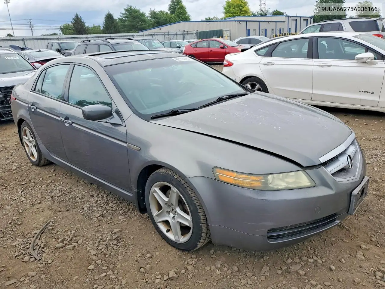 2005 Acura Tl VIN: 19UUA66275A036166 Lot: 62157496