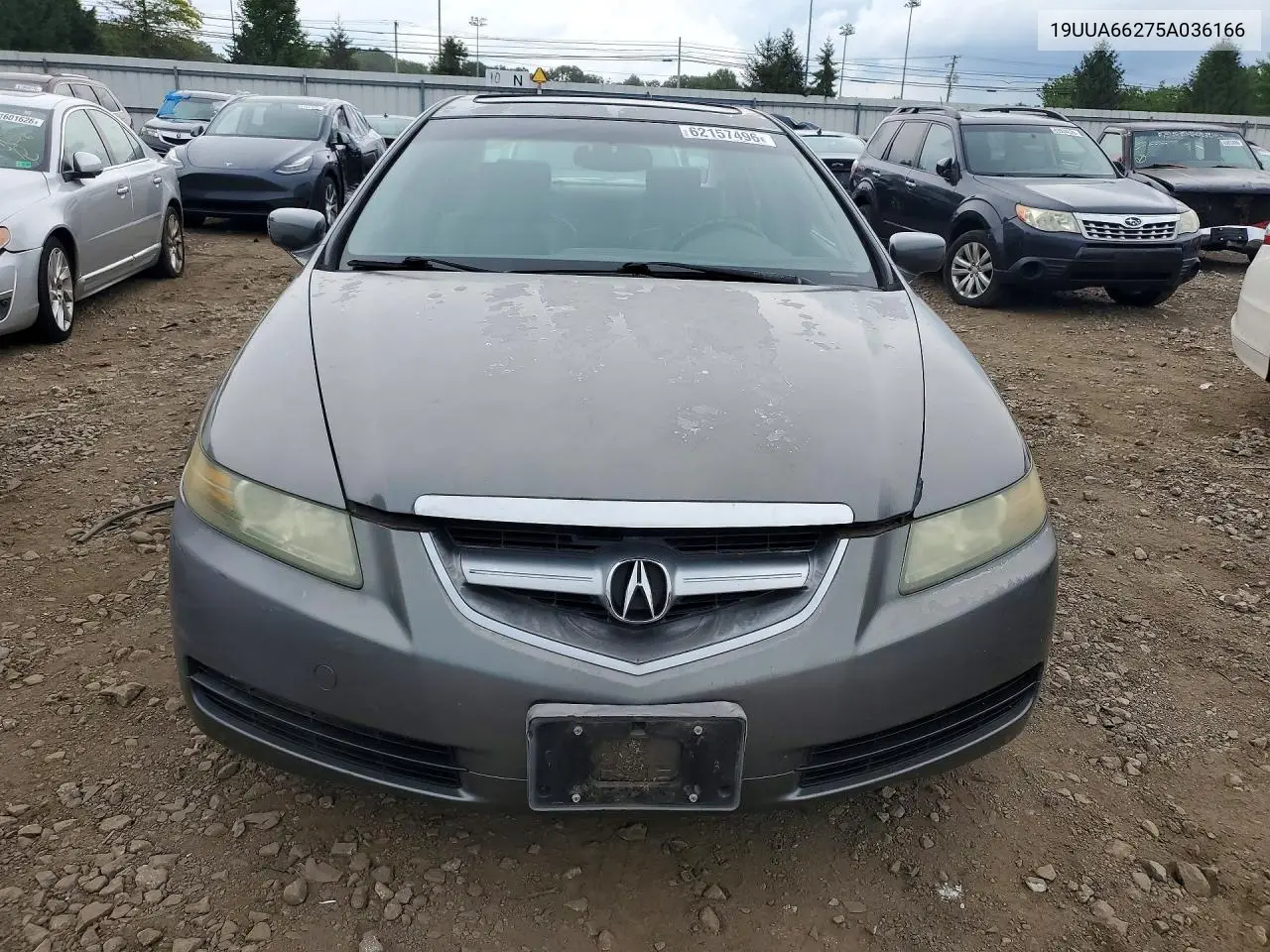 2005 Acura Tl VIN: 19UUA66275A036166 Lot: 62157496
