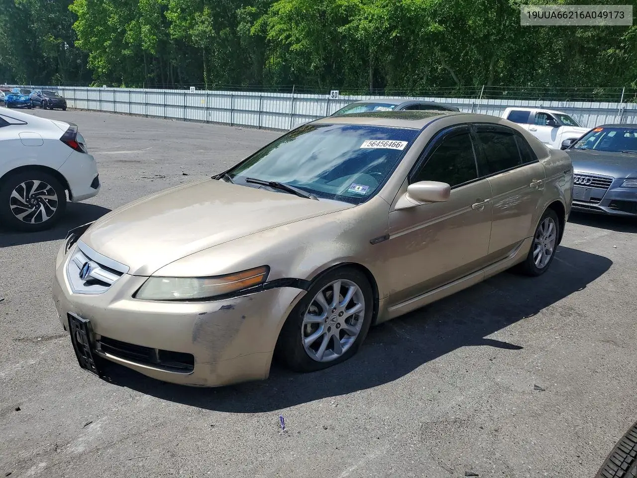 2006 Acura 3.2Tl VIN: 19UUA66216A049173 Lot: 56456466