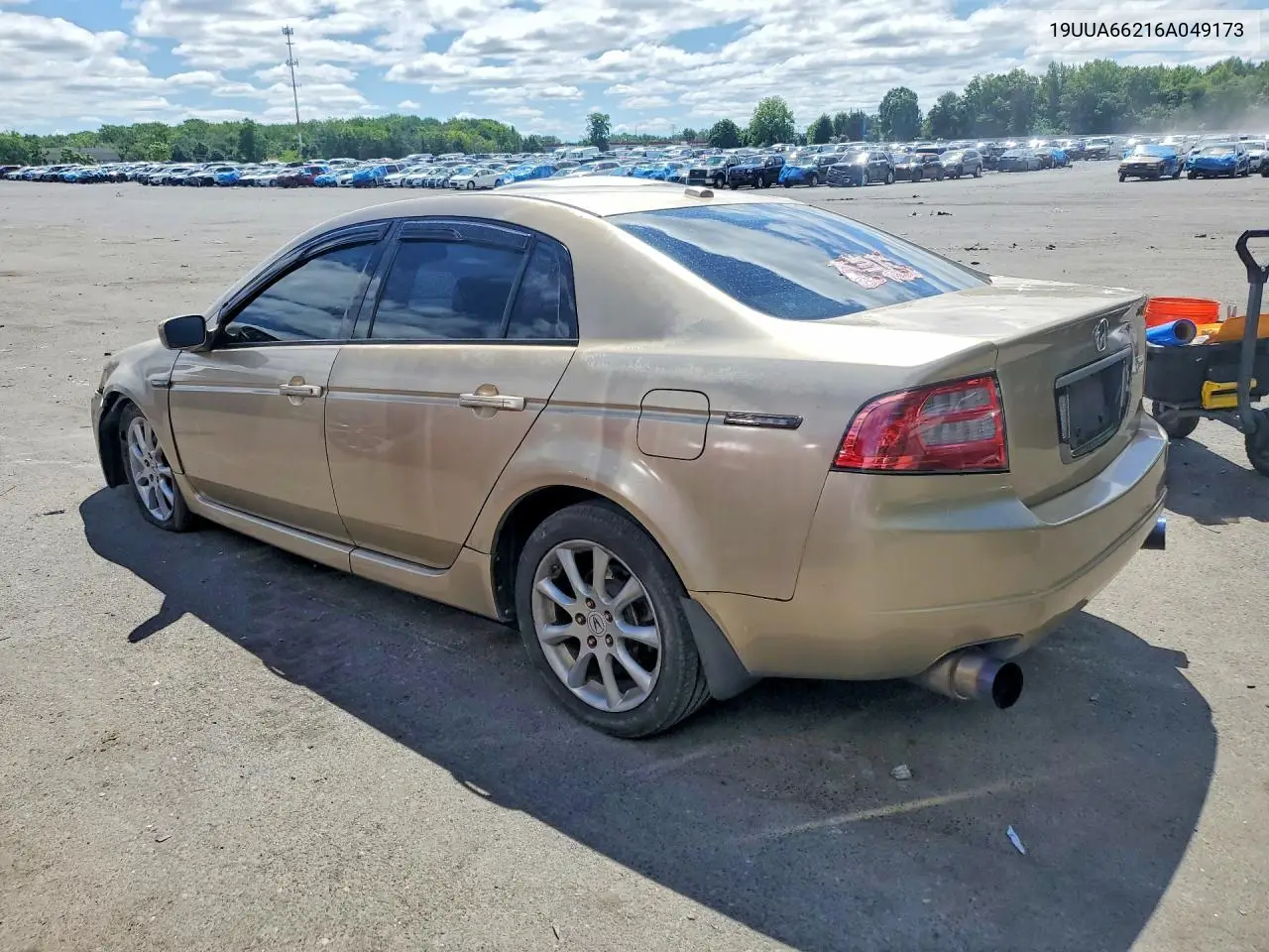 2006 Acura 3.2Tl VIN: 19UUA66216A049173 Lot: 56456466