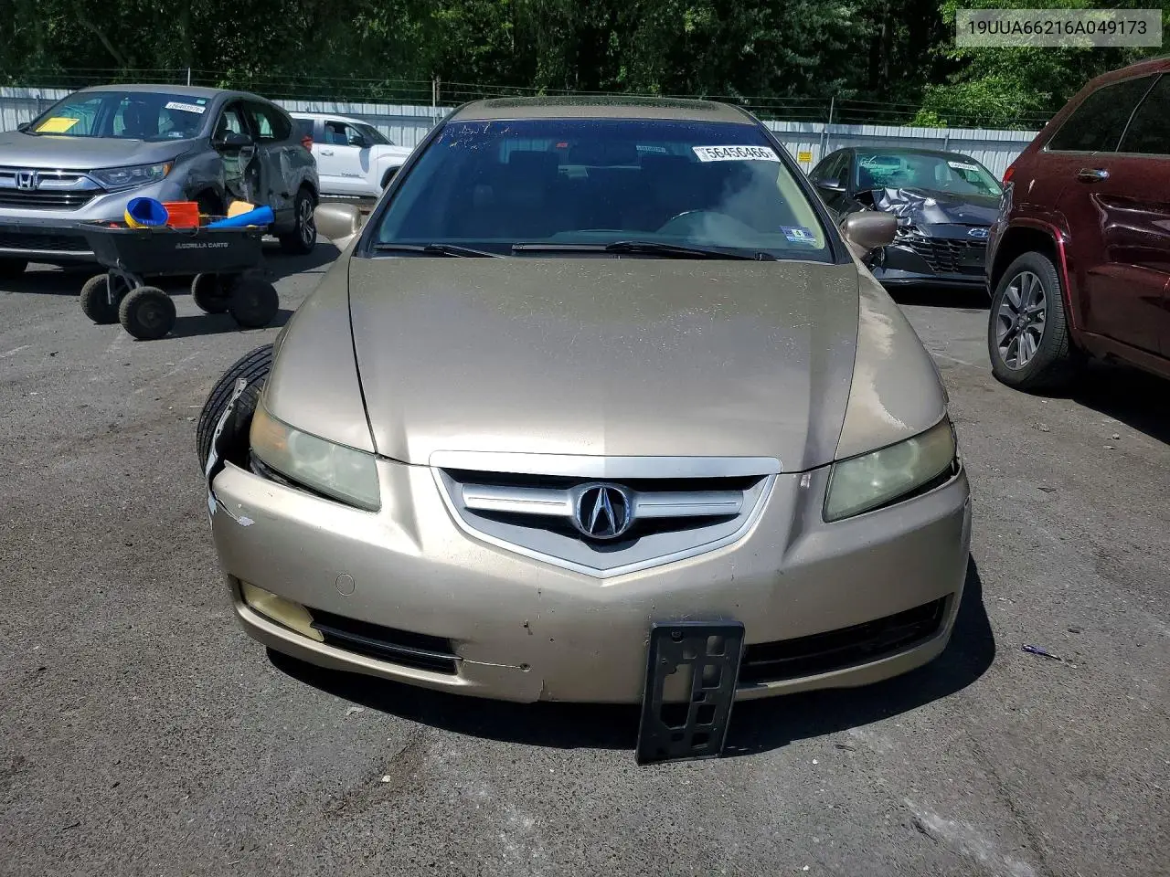 2006 Acura 3.2Tl VIN: 19UUA66216A049173 Lot: 56456466
