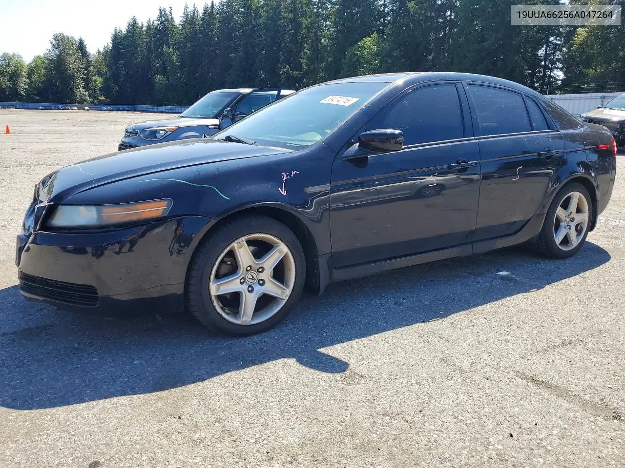 2006 Acura 3.2Tl VIN: 19UUA66256A047264 Lot: 58474216