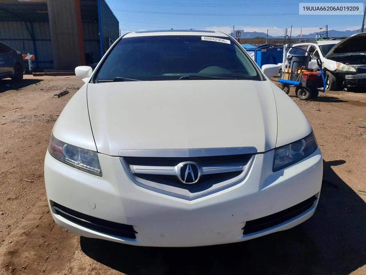 2006 Acura 3.2Tl VIN: 19UUA66206A019209 Lot: 60842956