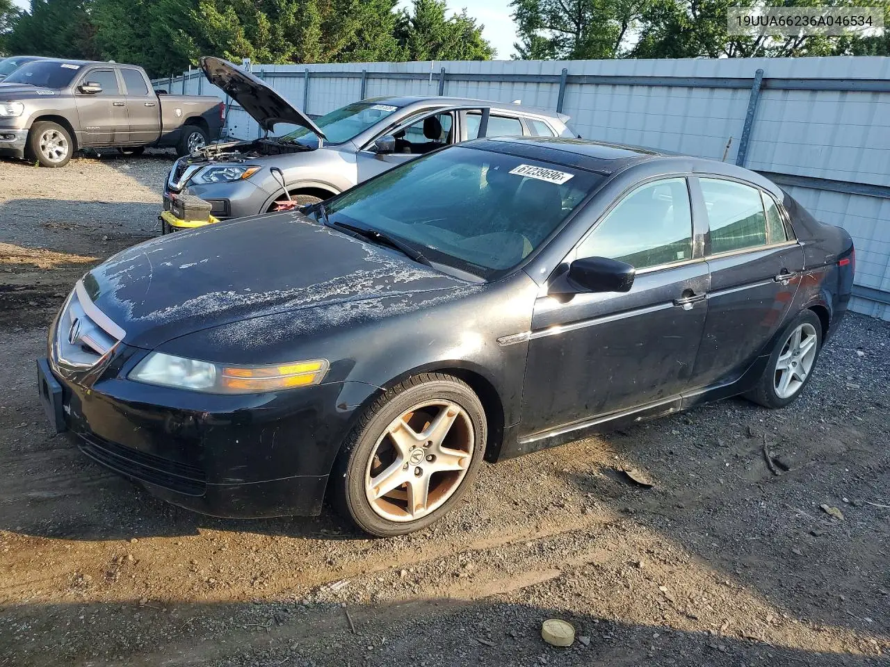 2006 Acura 3.2Tl VIN: 19UUA66236A046534 Lot: 61239696