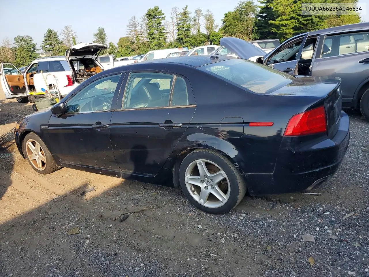 2006 Acura 3.2Tl VIN: 19UUA66236A046534 Lot: 61239696