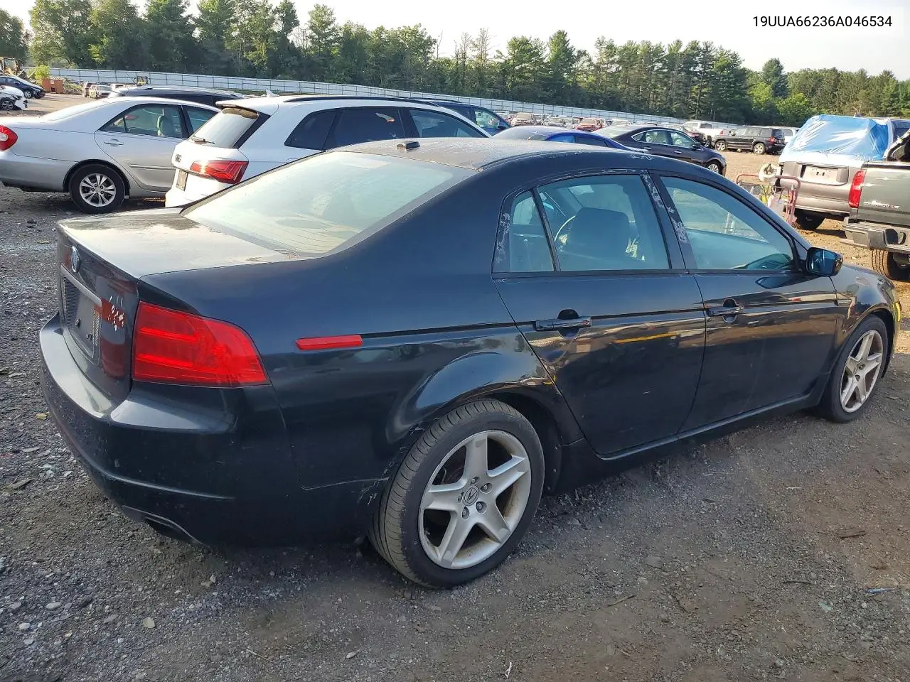 2006 Acura 3.2Tl VIN: 19UUA66236A046534 Lot: 61239696