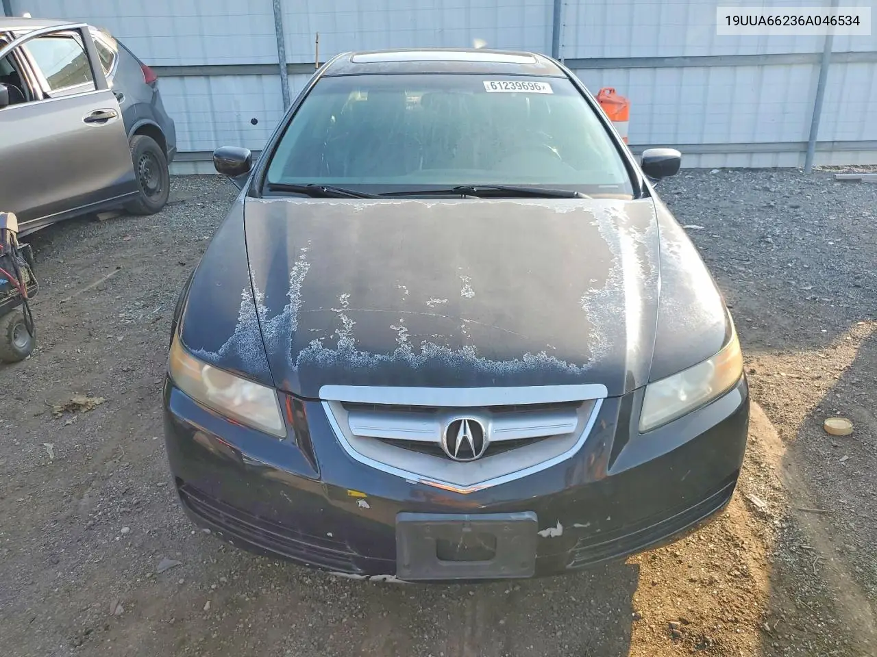 2006 Acura 3.2Tl VIN: 19UUA66236A046534 Lot: 61239696