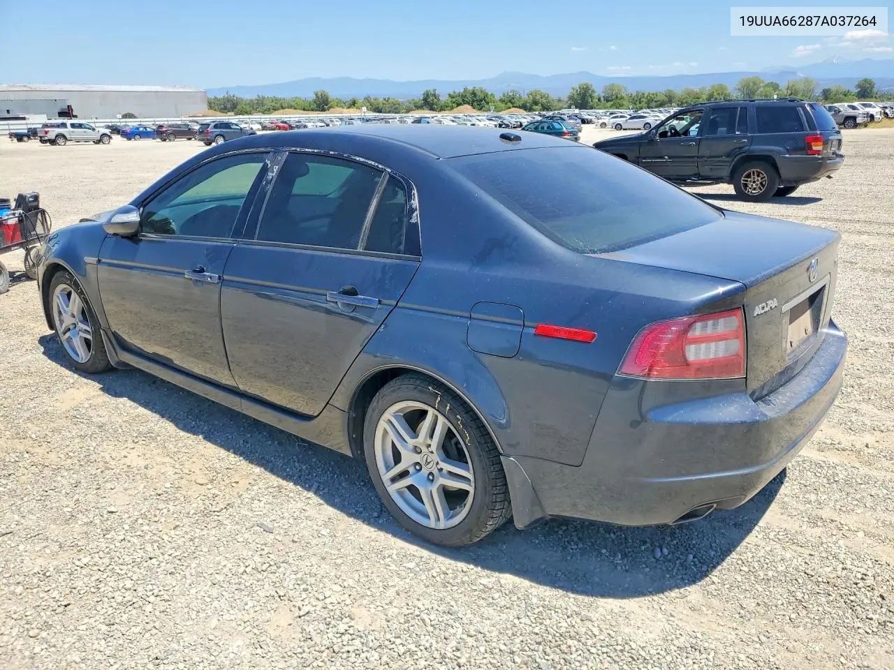 2007 Acura Tl VIN: 19UUA66287A037264 Lot: 60625346