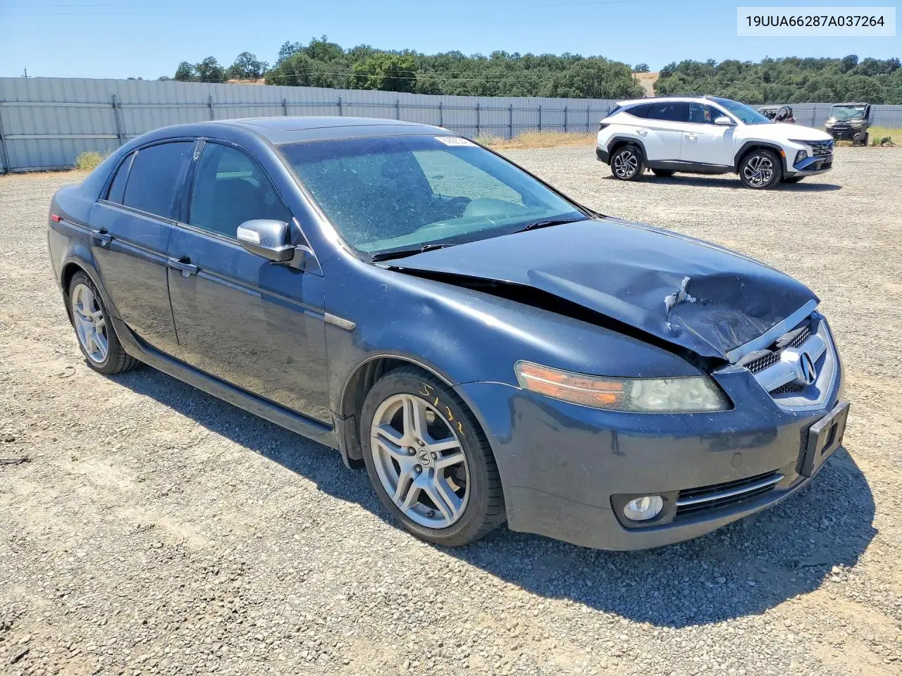 2007 Acura Tl VIN: 19UUA66287A037264 Lot: 60625346