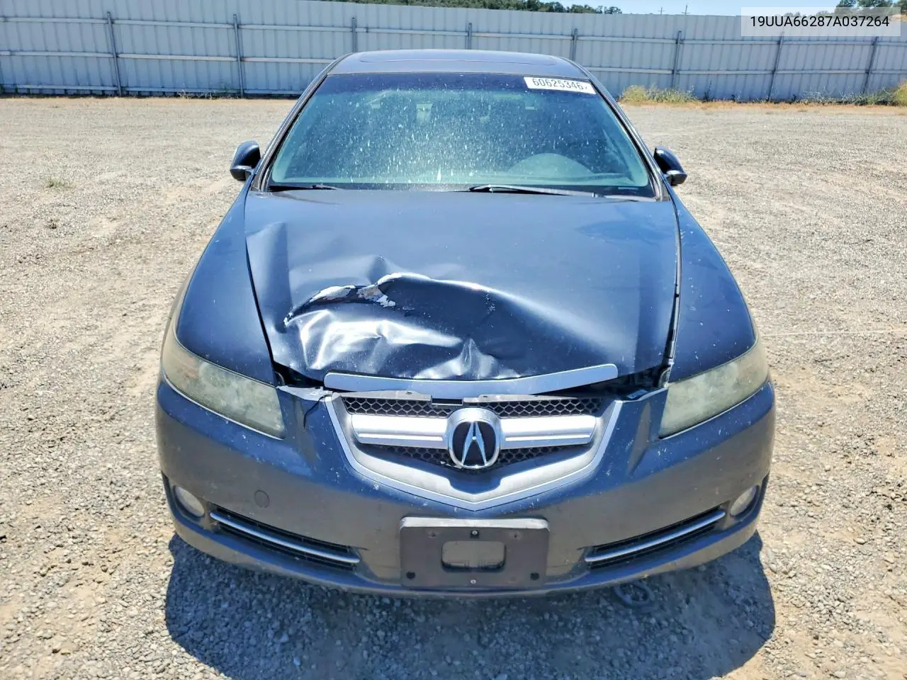 2007 Acura Tl VIN: 19UUA66287A037264 Lot: 60625346