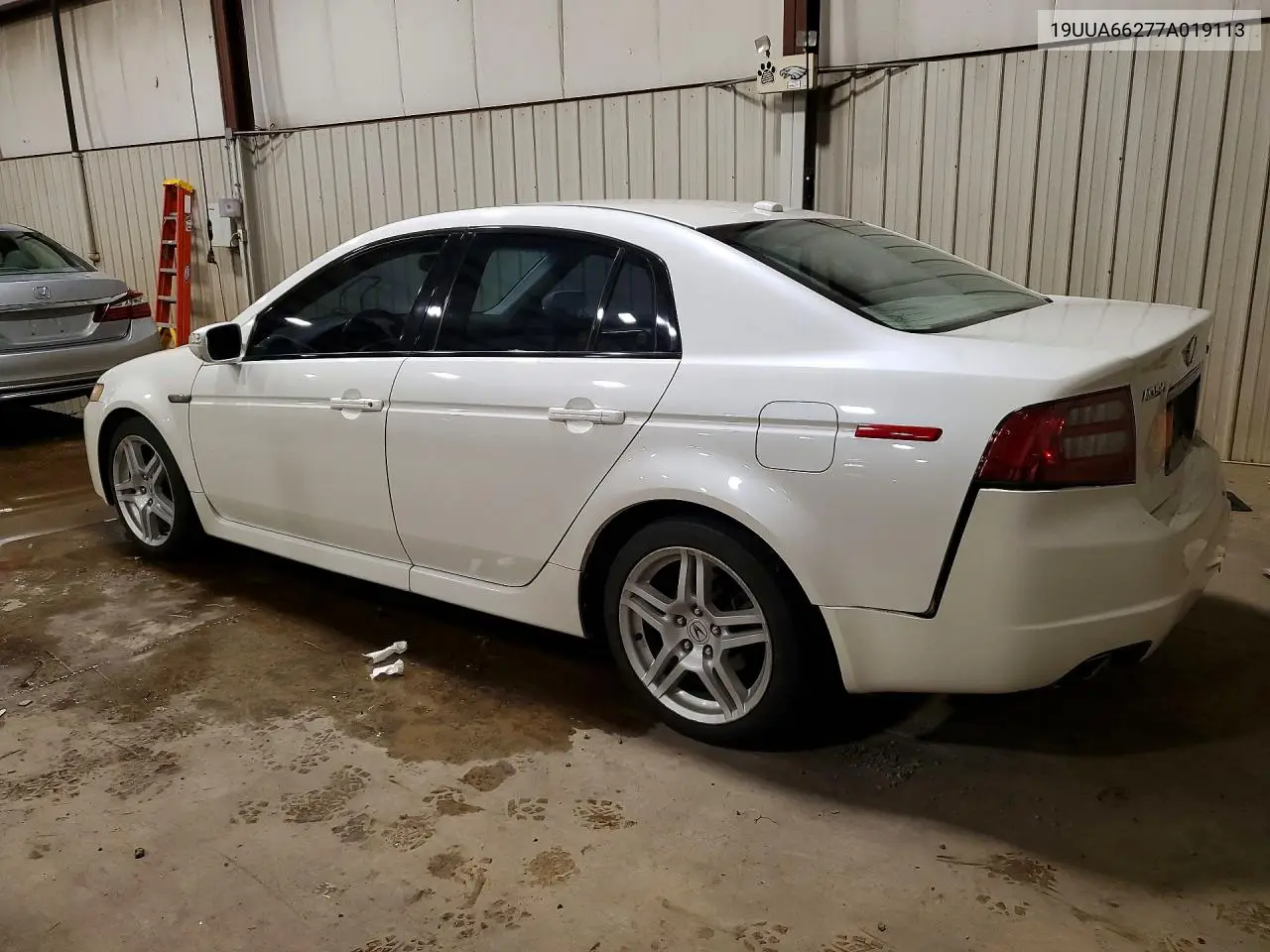 2007 Acura Tl VIN: 19UUA66277A019113 Lot: 60754976