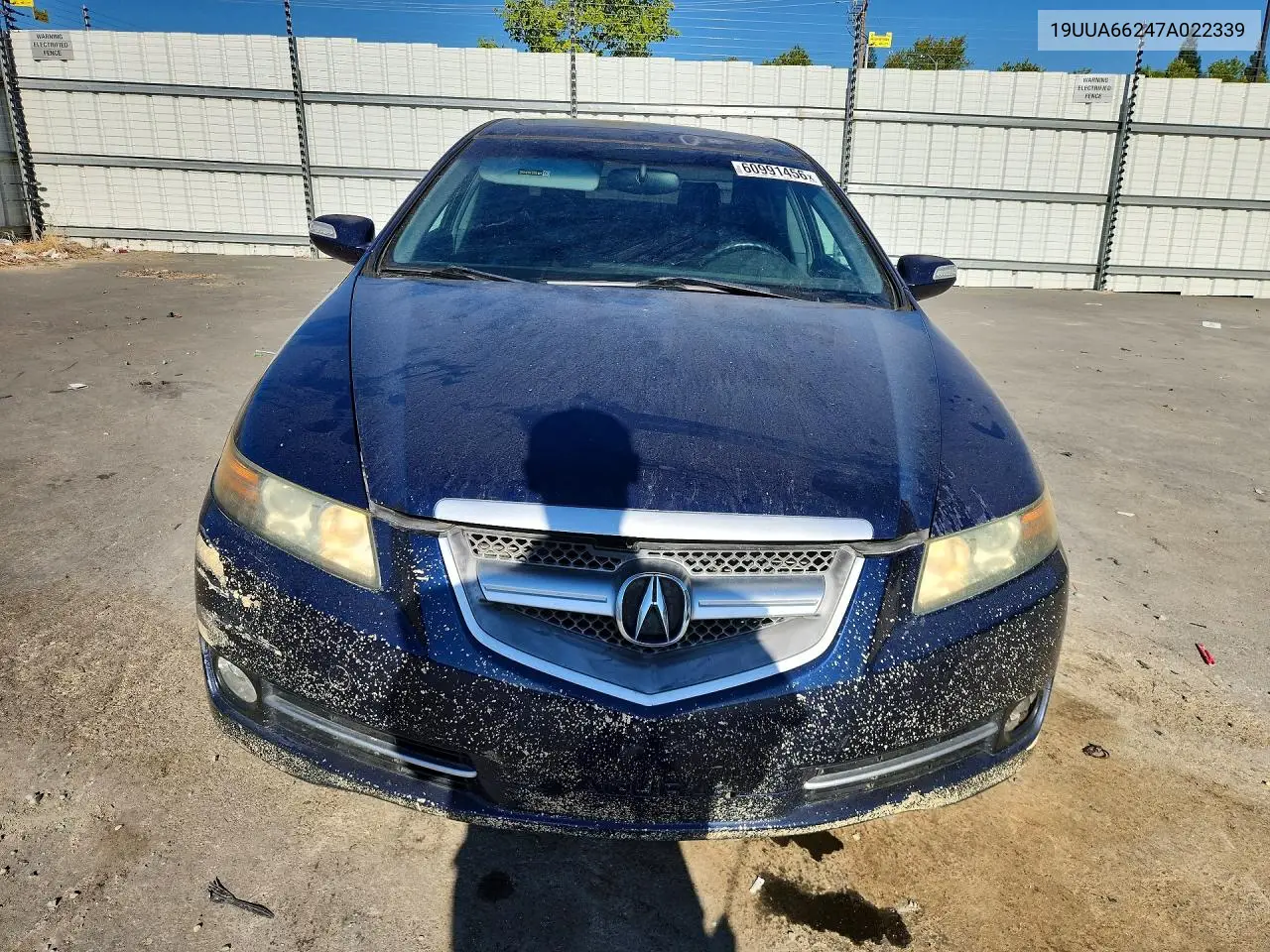 2007 Acura Tl VIN: 19UUA66247A022339 Lot: 60991456