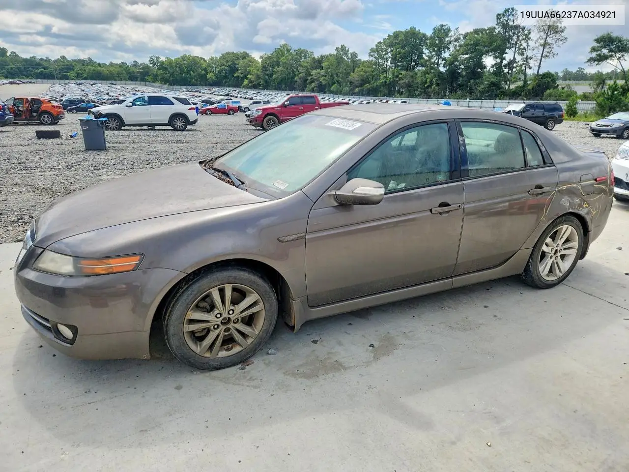 2007 Acura Tl VIN: 19UUA66237A034921 Lot: 61287526