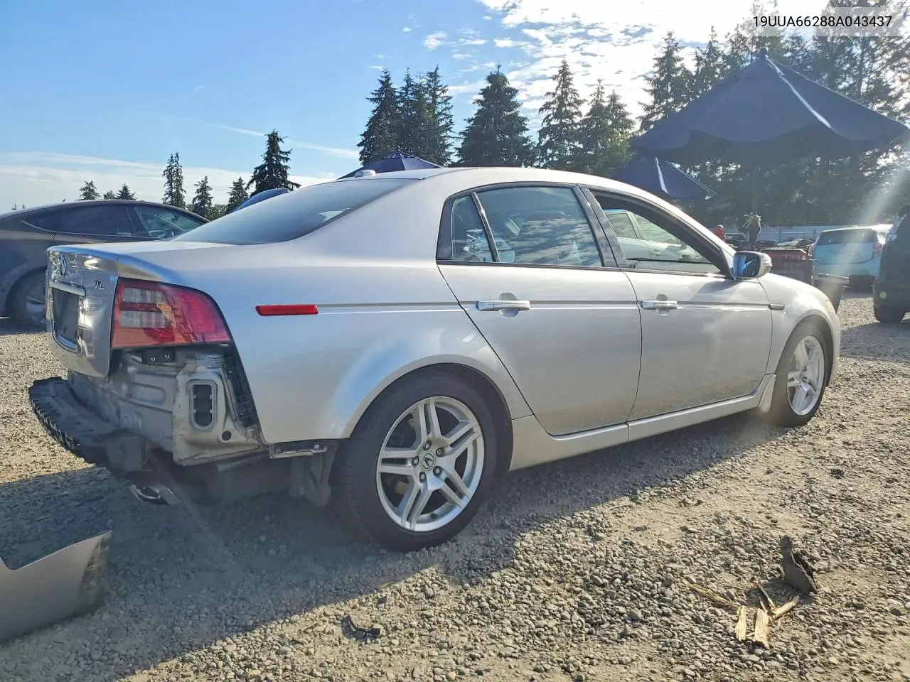 2008 Acura Tl VIN: 19UUA66288A043437 Lot: 58122986