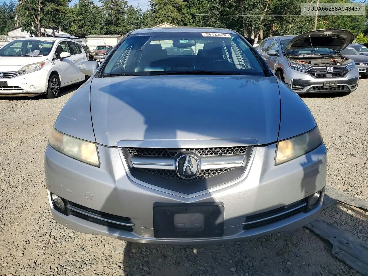 2008 Acura Tl VIN: 19UUA66288A043437 Lot: 58122986
