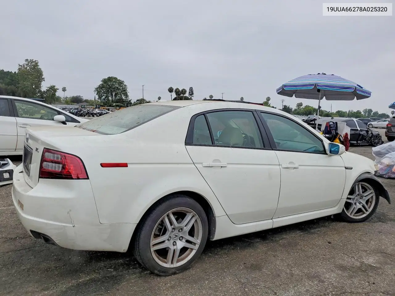 2008 Acura Tl VIN: 19UUA66278A025320 Lot: 58812586
