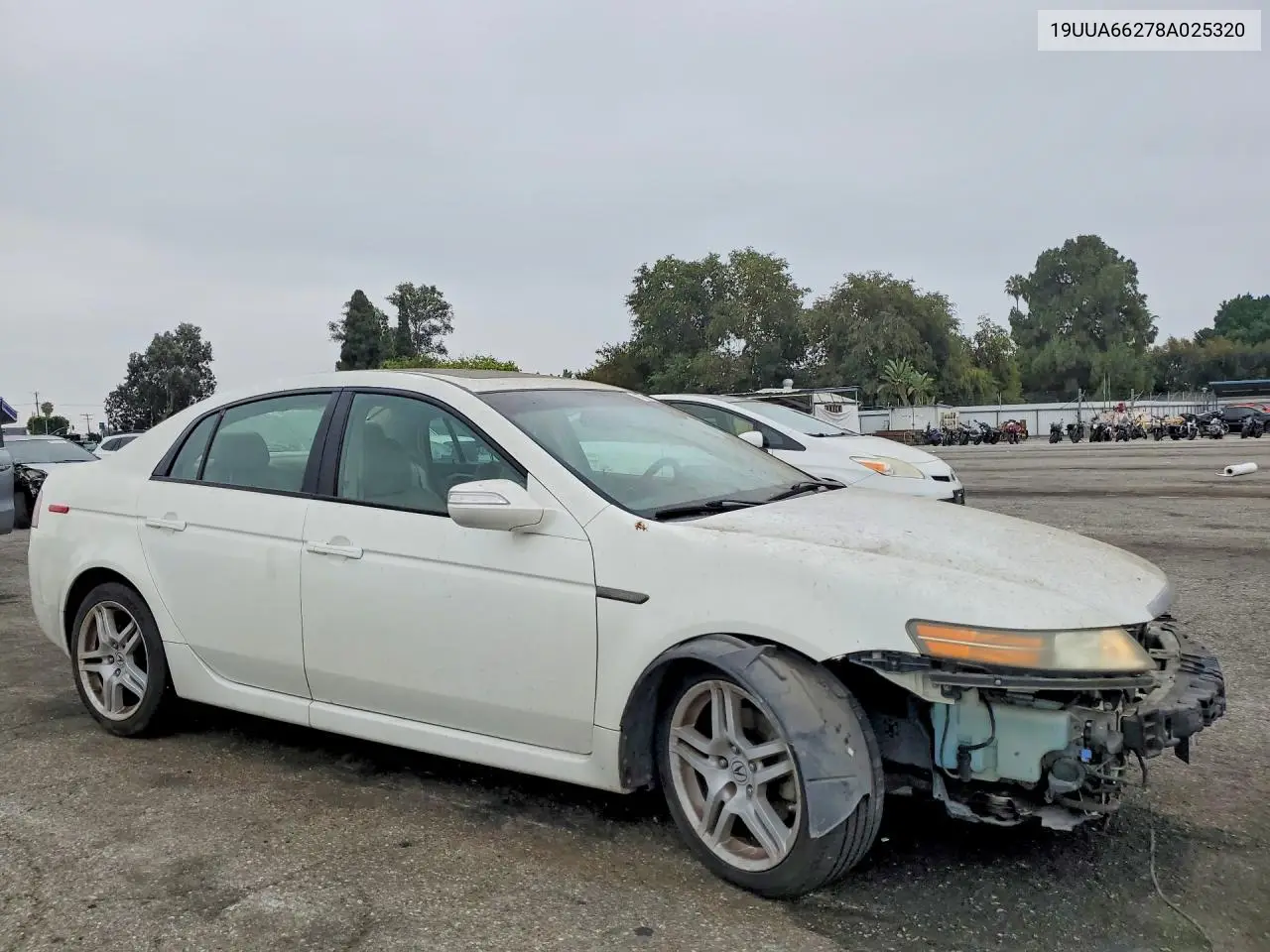 2008 Acura Tl VIN: 19UUA66278A025320 Lot: 58812586