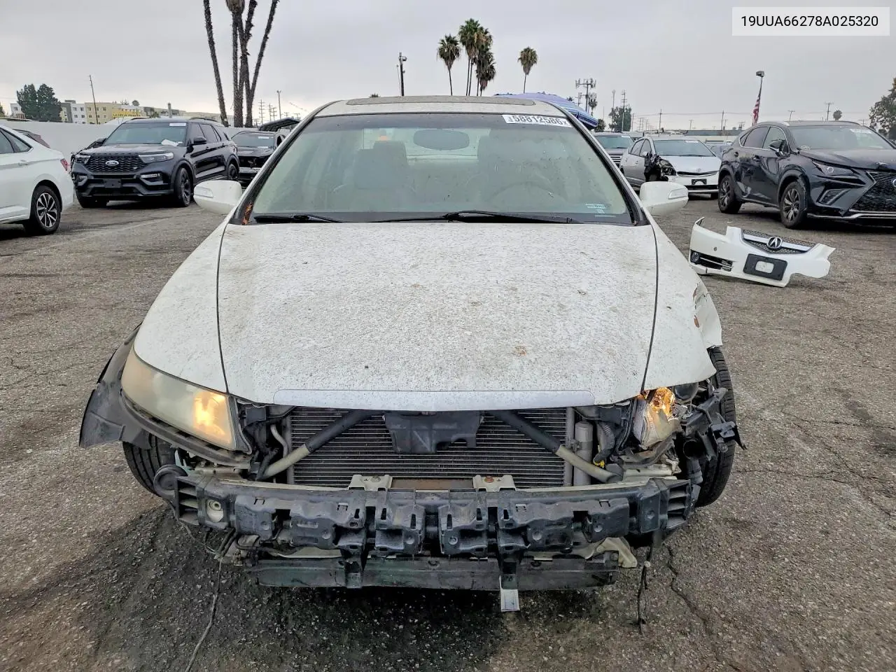 2008 Acura Tl VIN: 19UUA66278A025320 Lot: 58812586