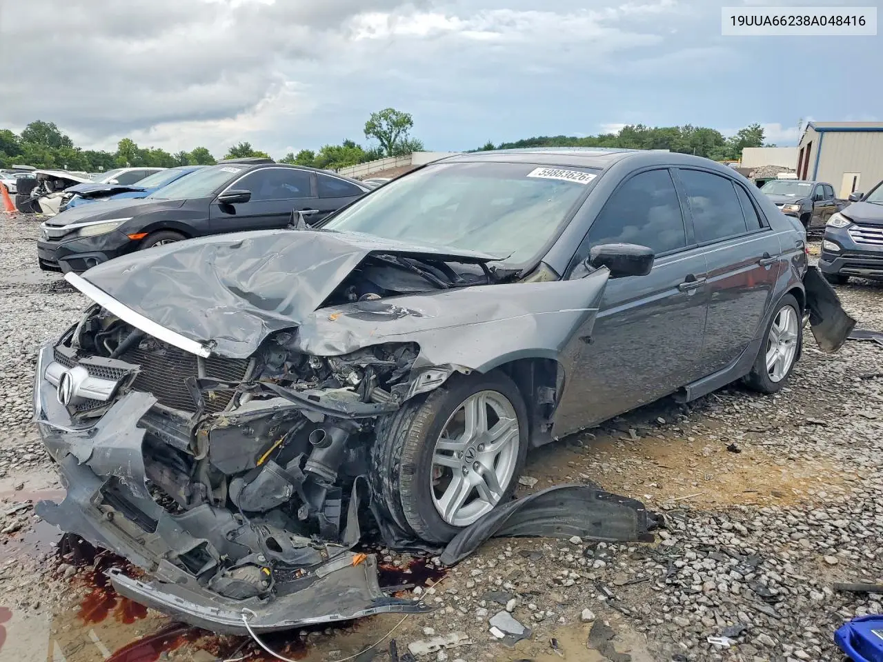 2008 Acura Tl VIN: 19UUA66238A048416 Lot: 59883626