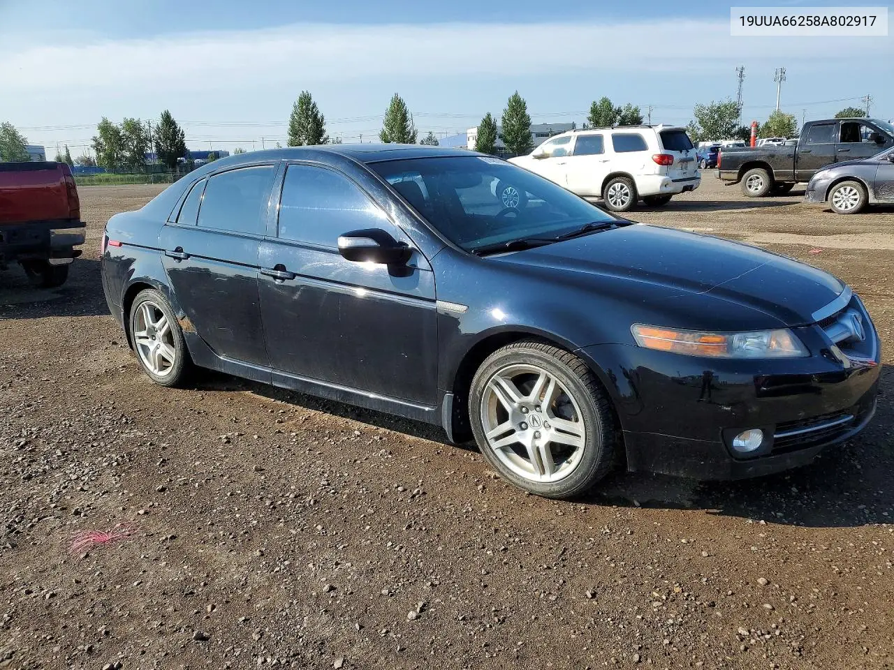 2008 Acura Tl VIN: 19UUA66258A802917 Lot: 61487616