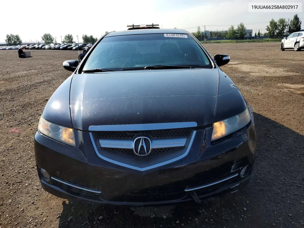 2008 Acura Tl VIN: 19UUA66258A802917 Lot: 61487616