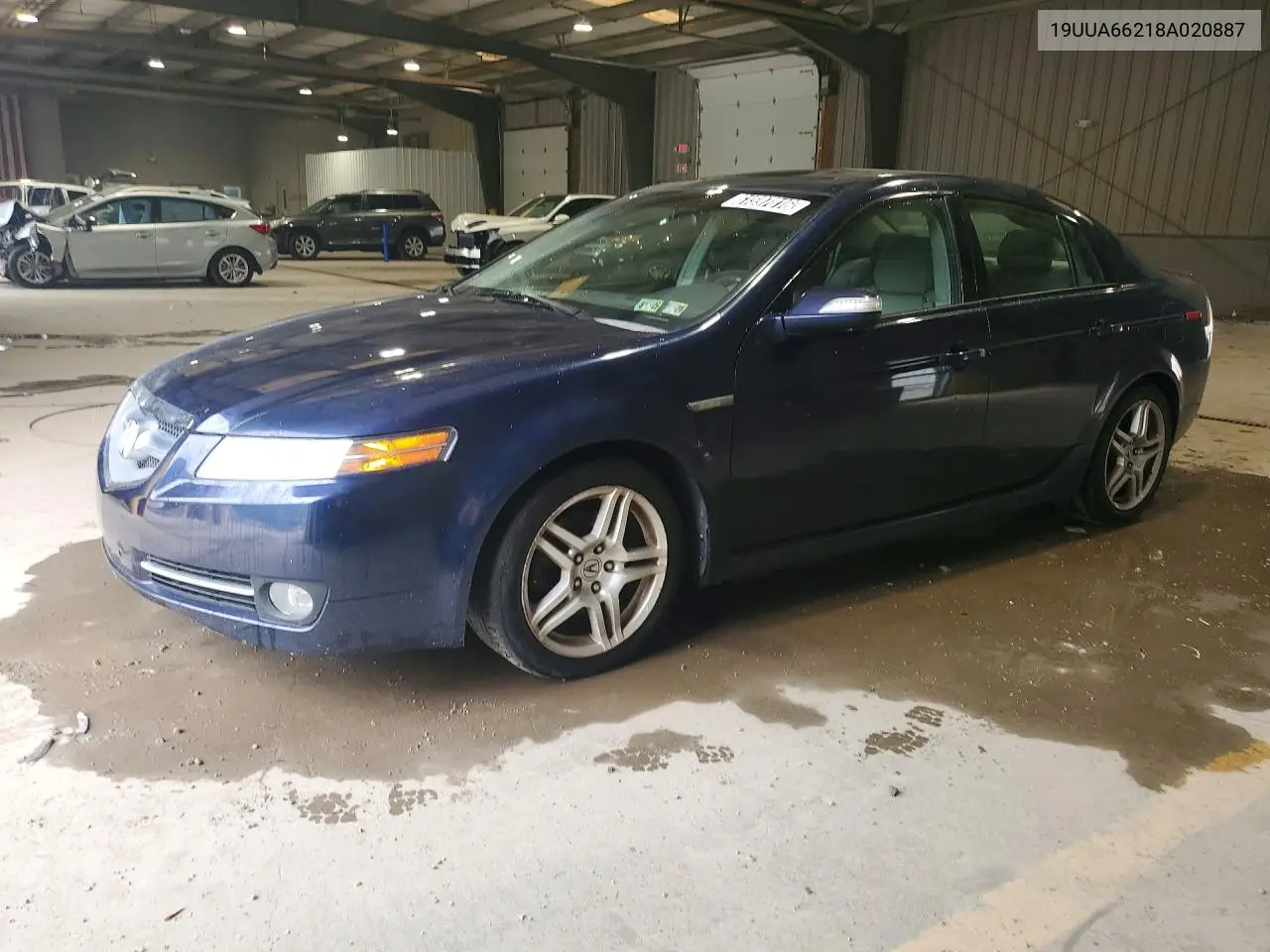 2008 Acura Tl VIN: 19UUA66218A020887 Lot: 61597816