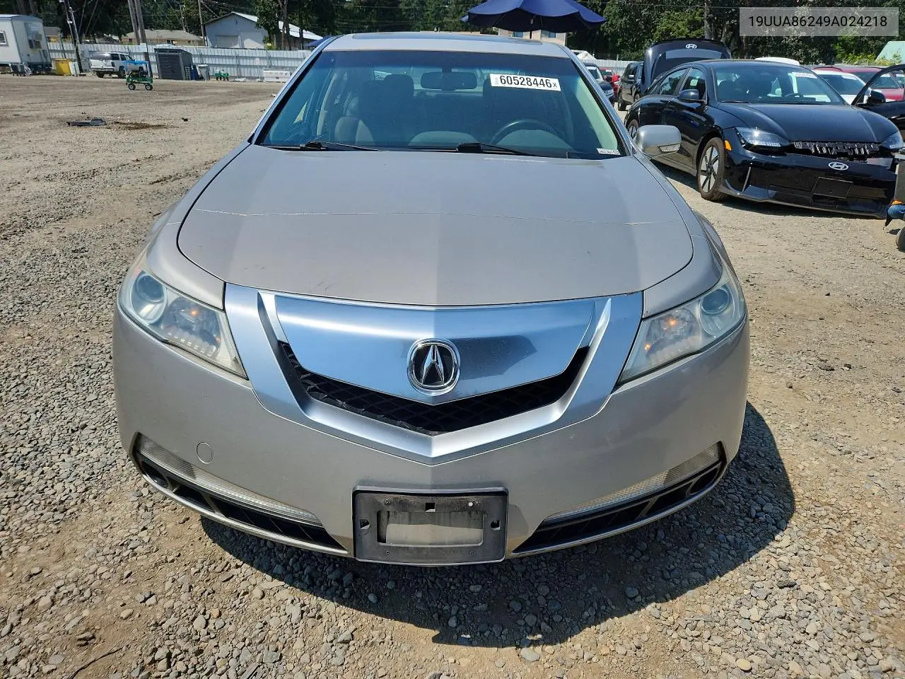 2009 Acura Tl VIN: 19UUA86249A024218 Lot: 60528446