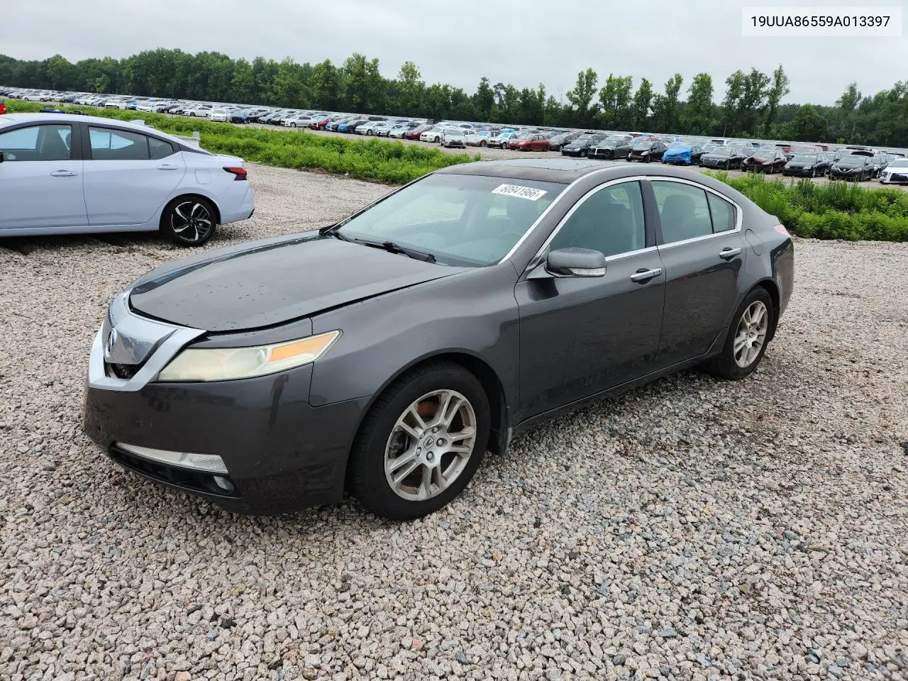 2009 Acura Tl VIN: 19UUA86559A013397 Lot: 60941966