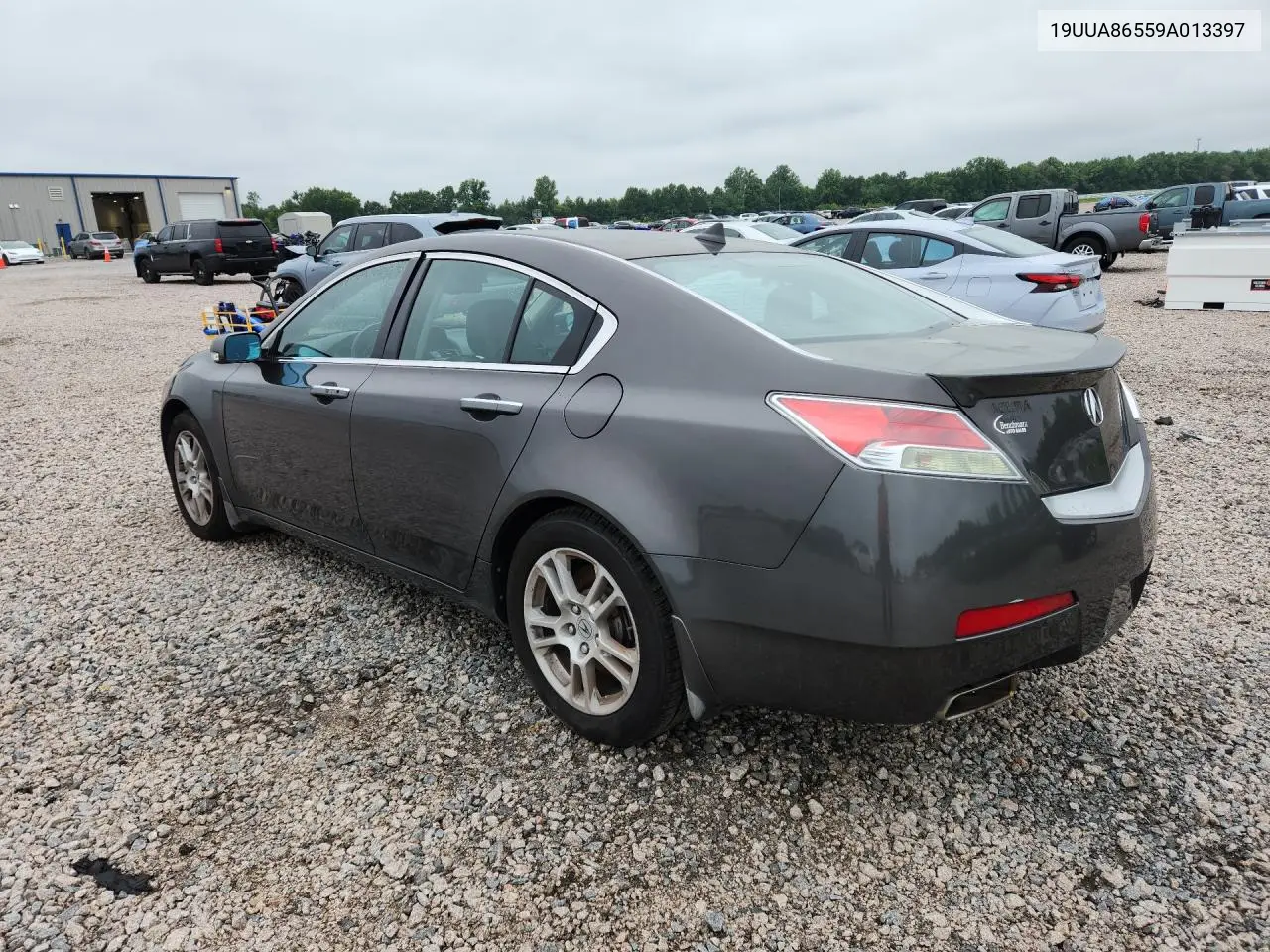 2009 Acura Tl VIN: 19UUA86559A013397 Lot: 60941966