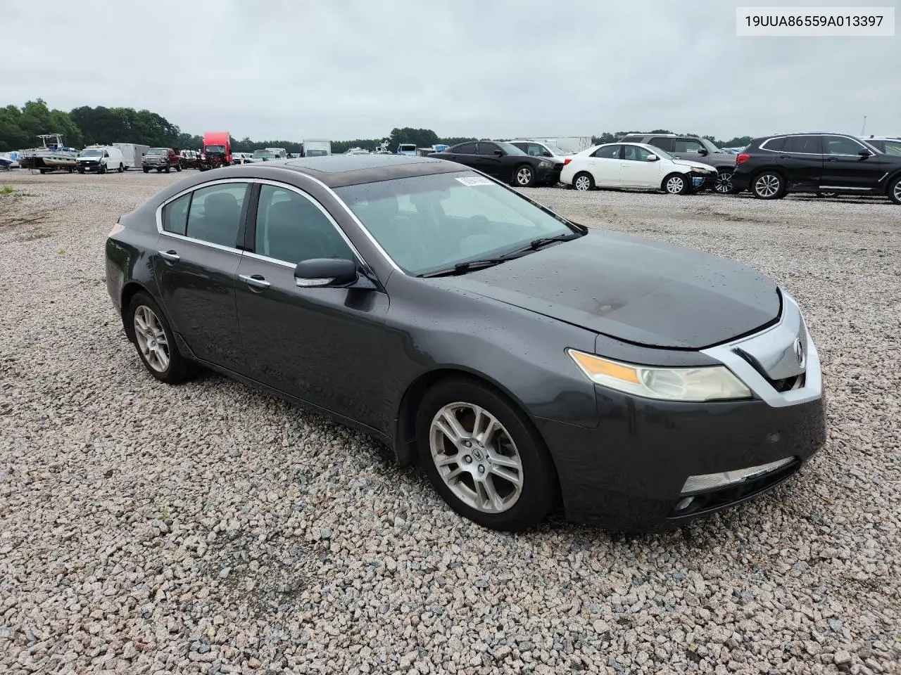 2009 Acura Tl VIN: 19UUA86559A013397 Lot: 60941966