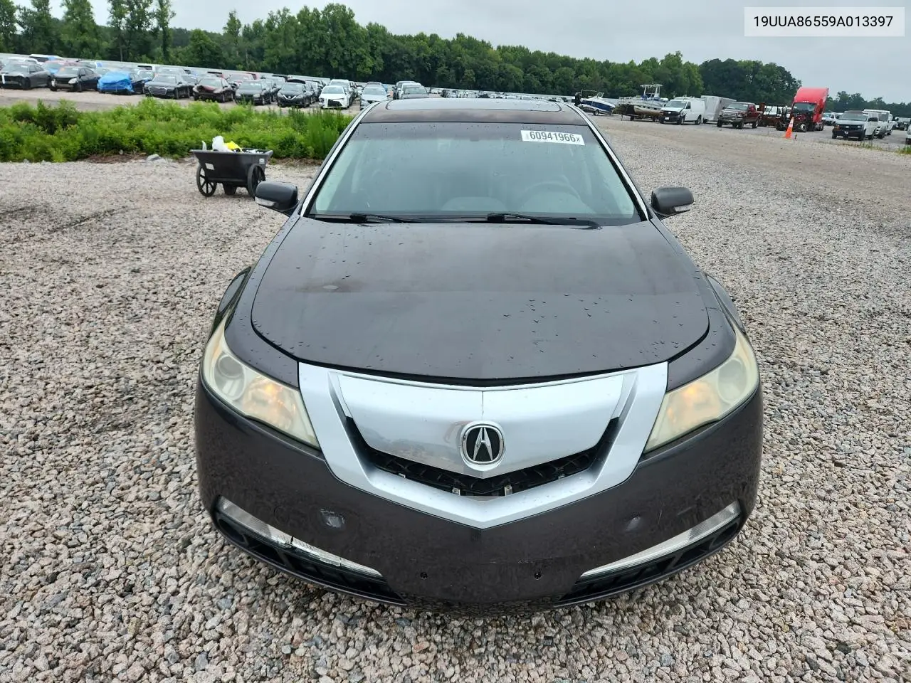 2009 Acura Tl VIN: 19UUA86559A013397 Lot: 60941966