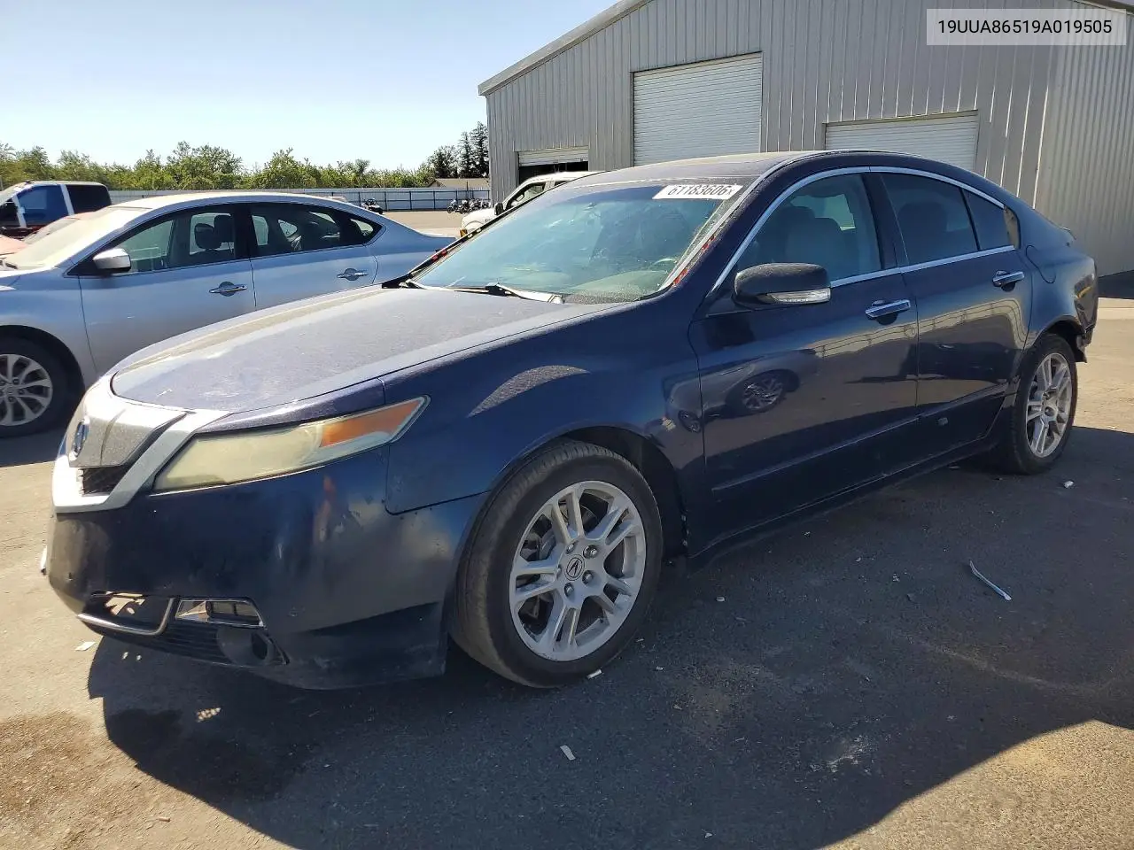 2009 Acura Tl VIN: 19UUA86519A019505 Lot: 61183606